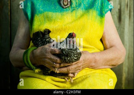 86 years stylish woman is sitting on the chair and holding a hen Stock Photo