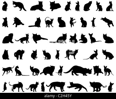 Set of different vector cats silhouettes for design use Stock Photo