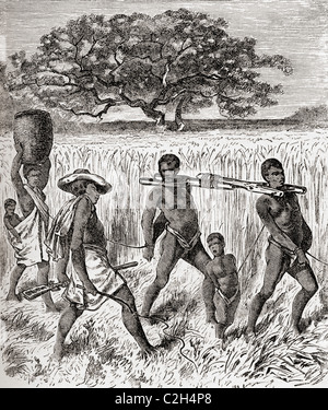 Slave Trading In The 19th Century. Slave Traders Punishing Slaves Stock ...