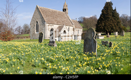A panoramic view of daffodils in springtime at the church of St John the Baptist in the village of Harescombe, Gloucestershire Stock Photo