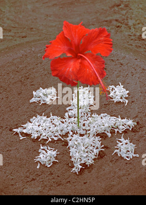 Athapookalam, Flower Rangoli In front of a house during Onam Festival, Kerala, India Stock Photo