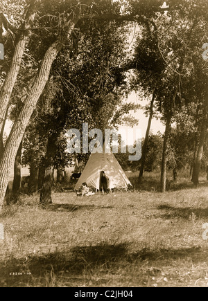 Camp in the cottonwoods--Cheyenne Stock Photo