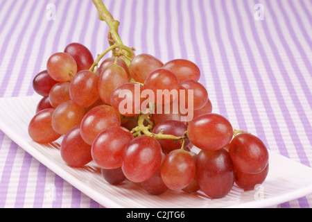 Italian red table grape on a white plate. Selective focus, extra-shallow DOF Stock Photo