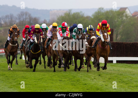 Mobile Betting At Victor Chandler Mares' Handicap Hurdle 14/4/2011 Stock Photo