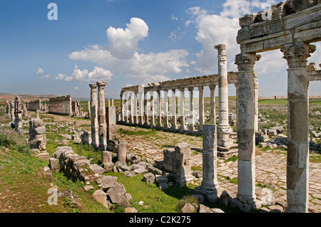 Apamea, Syria, region, Ghab plain,  Builder, Seleucus I Nicator, 300 BC , Greek and Roman city. Cultures, Hellenistic, Roman, Medieval Greek, Stock Photo