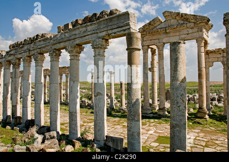 Apamea, Syria, region, Ghab plain,  Builder, Seleucus I Nicator, 300 BC , Greek and Roman city. Cultures, Hellenistic, Roman, Medieval Greek, Stock Photo