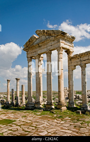 Apamea, Syria, region, Ghab plain,  Builder, Seleucus I Nicator, 300 BC , Greek and Roman city. Cultures, Hellenistic, Roman, Medieval Greek, Stock Photo