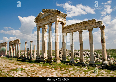 Apamea, Syria, region, Ghab plain,  Builder, Seleucus I Nicator, 300 BC , Greek and Roman city. Cultures, Hellenistic, Roman, Medieval Greek, Stock Photo