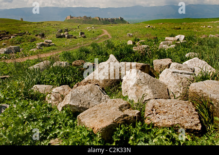 Apamea, Syria, region, Ghab plain,  Builder, Seleucus I Nicator, 300 BC , Greek and Roman city. Cultures, Hellenistic, Roman, Medieval Greek, Stock Photo