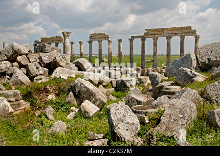 Apamea, Syria, region, Ghab plain,  Builder, Seleucus I Nicator, 300 BC , Greek and Roman city. Cultures, Hellenistic, Roman, Medieval Greek, Stock Photo