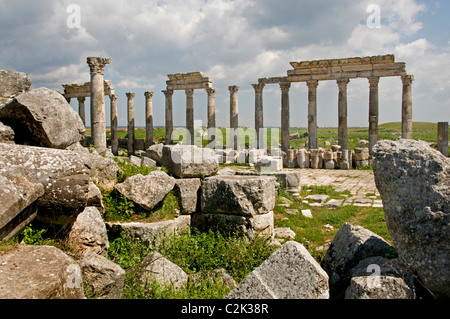 Apamea, Syria, region, Ghab plain,  Builder, Seleucus I Nicator, 300 BC , Greek and Roman city. Cultures, Hellenistic, Roman, Medieval Greek, Stock Photo