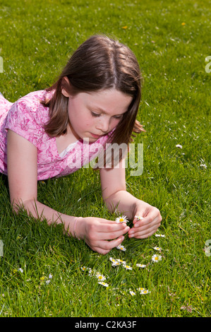 A MODEL RELEASED picture of a nine year old girl picking daisies outdoors in the Uk Stock Photo