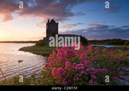 Summer sunset over 16th-century Dunguaire Castle, Kinvara, County Galway, Ireland. Stock Photo