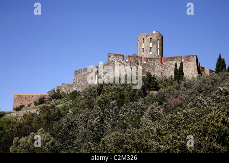 The fort Saint Elme in Collioure, Languedoc Roussillon, France Stock Photo