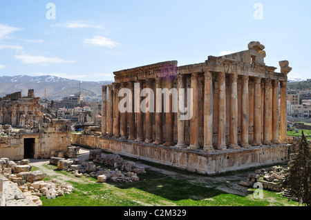 Temple ruins of Baalbek, Bekaa valley, Lebanon Stock Photo