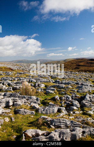 Limestone pavement on Keelogyboy Mountain, County Leitrim, Ireland. Stock Photo