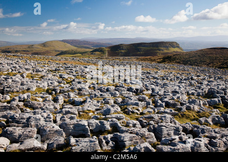 Limestone pavement on Keelogyboy Mountain, County Leitrim, Ireland. Stock Photo