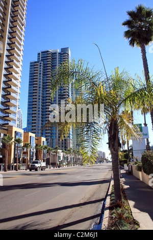 PALM TREE AND HOTELS SAN DIEGO USA 10 December 2010 Stock Photo