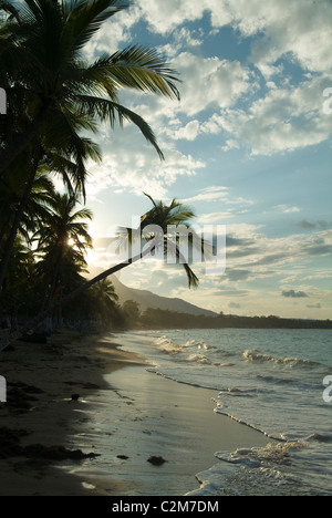 Playa Dorada Beach, near Puerto Plata, Dominican Republic Stock Photo