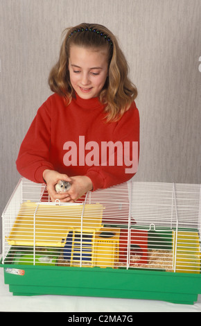 young girl cleaning out hamster cage - series Stock Photo