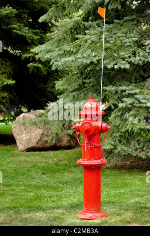 Red fire hydrant with snow flag, Vail, Colorado Stock Photo - Alamy