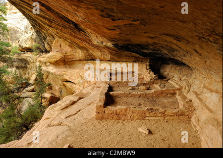 cliff dwelling in Mesa Verde National Park Stock Photo