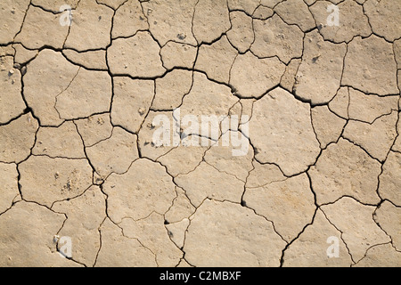 dry mud field for background Stock Photo