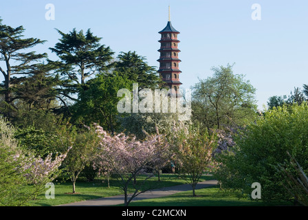 View of Pagoda, Kew Gardens, Kew, London Stock Photo