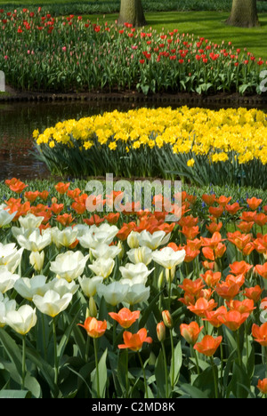 Flowers at Keukenhof Gardens, near Leiden. Stock Photo
