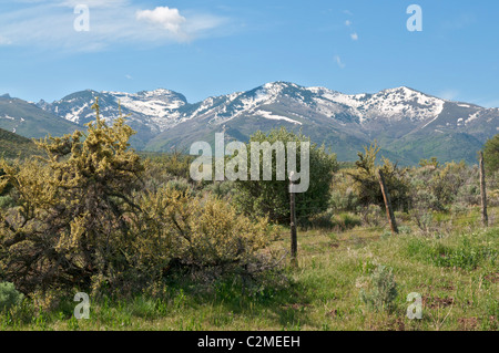 Nevada, Lamoille Valley, Ruby Mountains Stock Photo