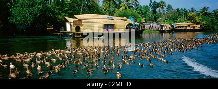 Kettuvallom Houseboat, Kumarakom Backwaters, Kerala, India Stock Photo