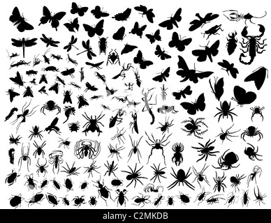 Big collection of different vector insects silhouettes Stock Photo