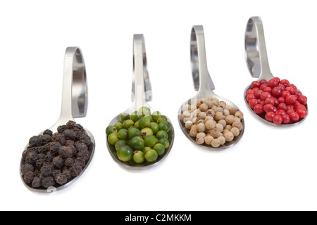 Four kinds of peppercorns in spoons isolated on white background Stock Photo