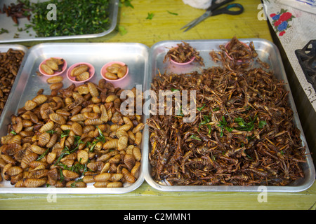 Fried Crickets and bugs for sale on a Thai market stall, Phuket , Thailand Stock Photo