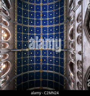 Painted Ceiling Vaults, Carlisle Cathedral, England Stock Photo