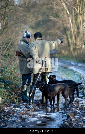 men standing with dogs on driven shoot Stock Photo