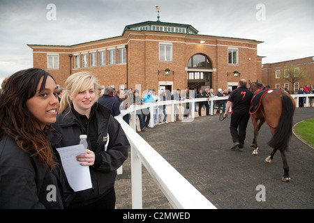 People looking at racehorses in the parade ring before being sold at Tattersalls racehorse auctioneers, Newmarket Suffolk, UK Stock Photo