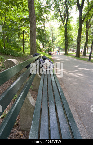 Man sleeping on bench in Central Park New York Stock Photo