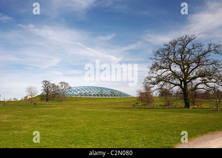 The Great Glasshouse, National Botanic Garden of Wales, Llantharne, Carmarthenshire, Wales, UK Stock Photo