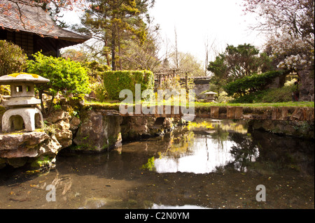 Japanese garden Stock Photo