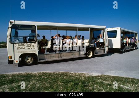 Visitors board open-air trams at Shark Valley for two-hour narrated tours of Everglades National Park, a vast water wilderness in south Florida, USA Stock Photo