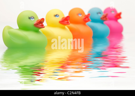 Colourful Rubber Ducks with water ripples Stock Photo