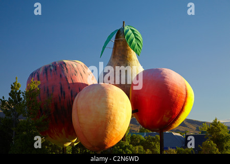 Big Fruit, Cromwell, Central Otago, South Island, New Zealand Stock Photo