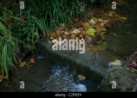 Autumn leaves in stream at Prior Park Cottages Bath Somerset England UK