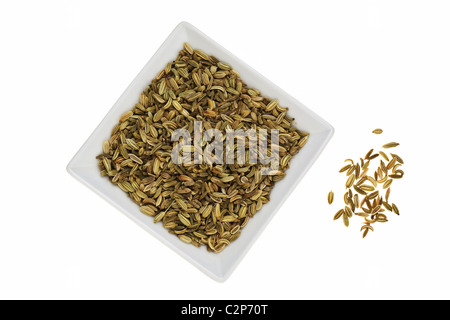 Fennel Seeds in white Dish Stock Photo