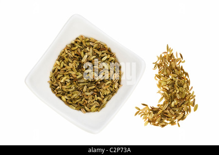 Fennel Seeds in white Dish Stock Photo