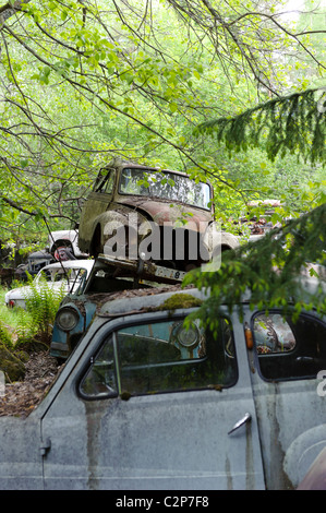 Cars at Junkyard in nature setting, Sweden Stock Photo