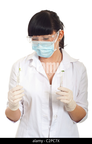 Young researcher woman holding and examine two tubes with tomato and cucumber new plants isolated on white background Stock Photo