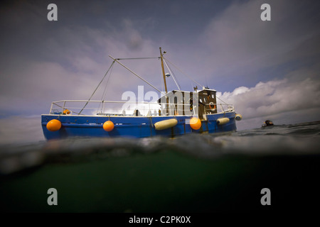 Split-level view of the dive boat 'Radiant Queen' with diver at the surface in Scapa Flow, Orkney Stock Photo