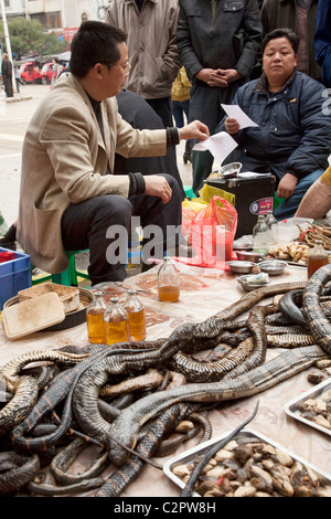 A street vendor selling snake medications to the local people of Guilin China Stock Photo